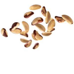 Castanhas 300x300